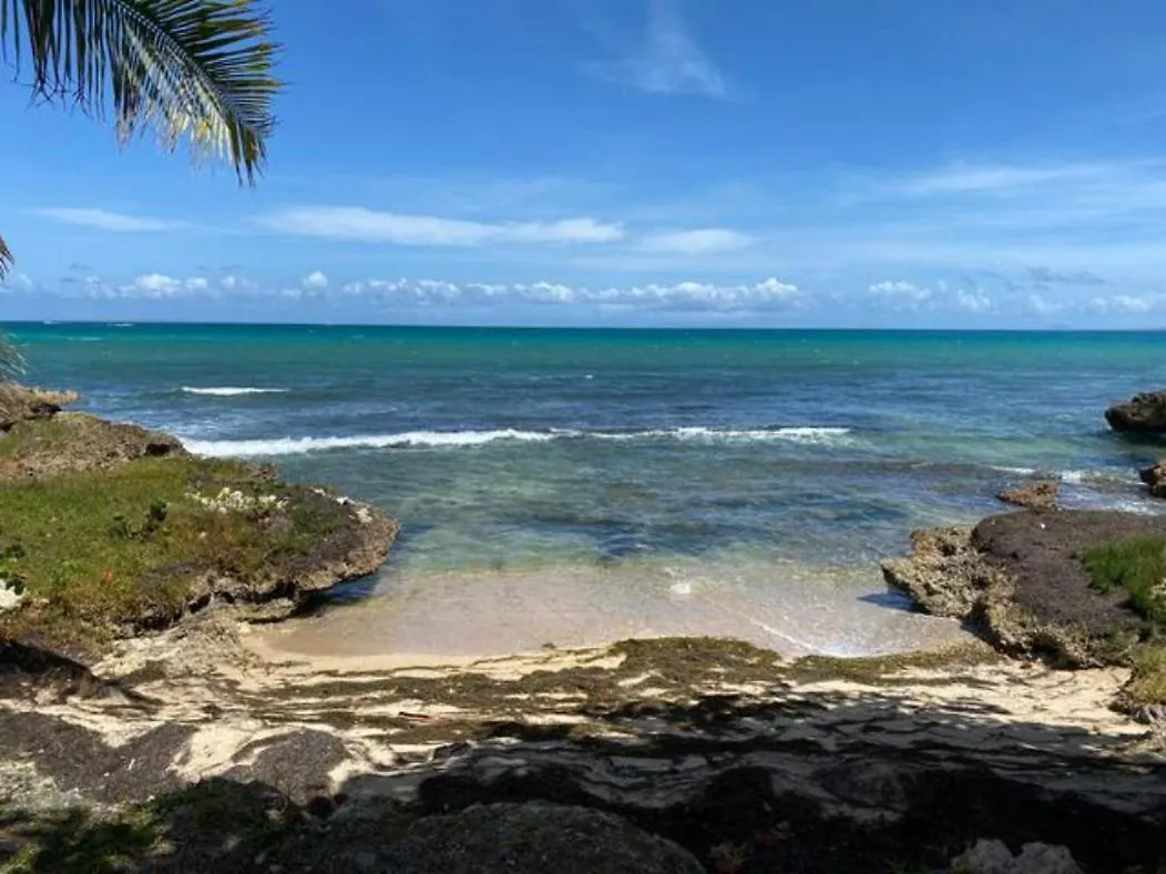 Apartment Appartement Reves Bleus Le Gosier  Guadeloupe