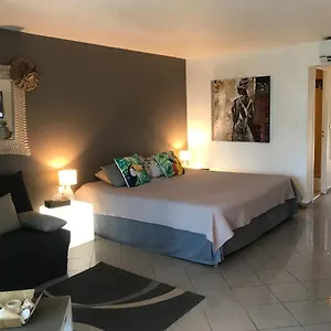 Appartement De Charme, Le Gosier (Grande-Terre)